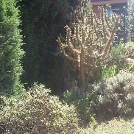 Pineres Candás